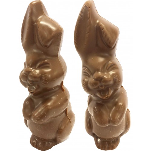 Easter Bunny in Branded Box CCE028B | Milk Chocolate Bunny
